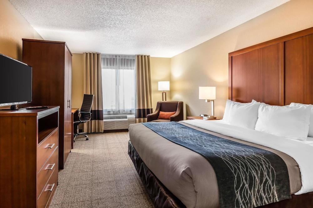 COMFORT INN & SUITES AIRPORT-AMERICAN WAY photo 3
