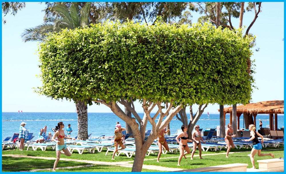 Poseidonia Beach Hotel photo 4