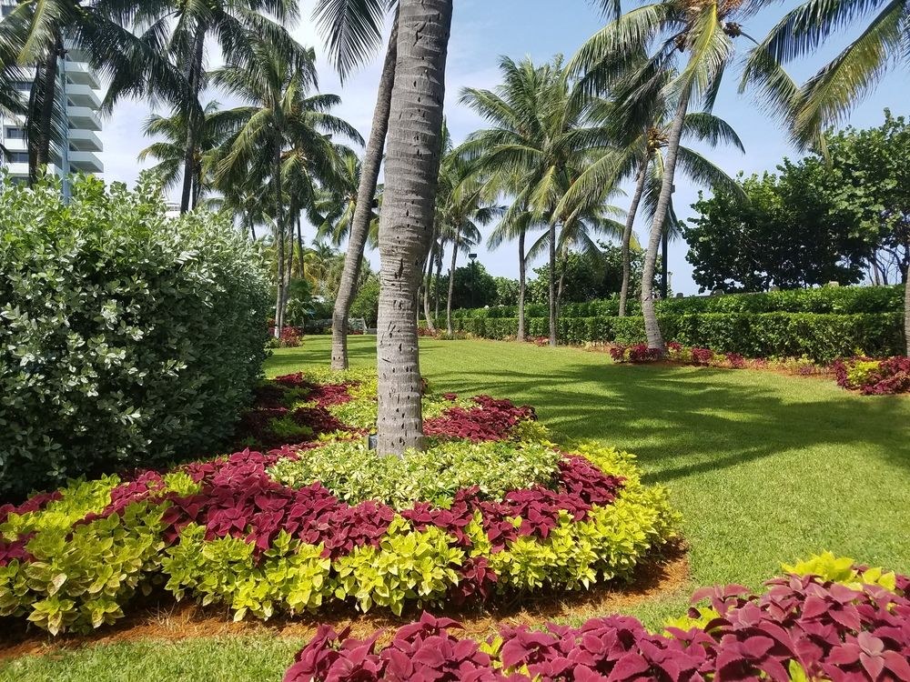 Radisson Resort Miami Beach photo 4