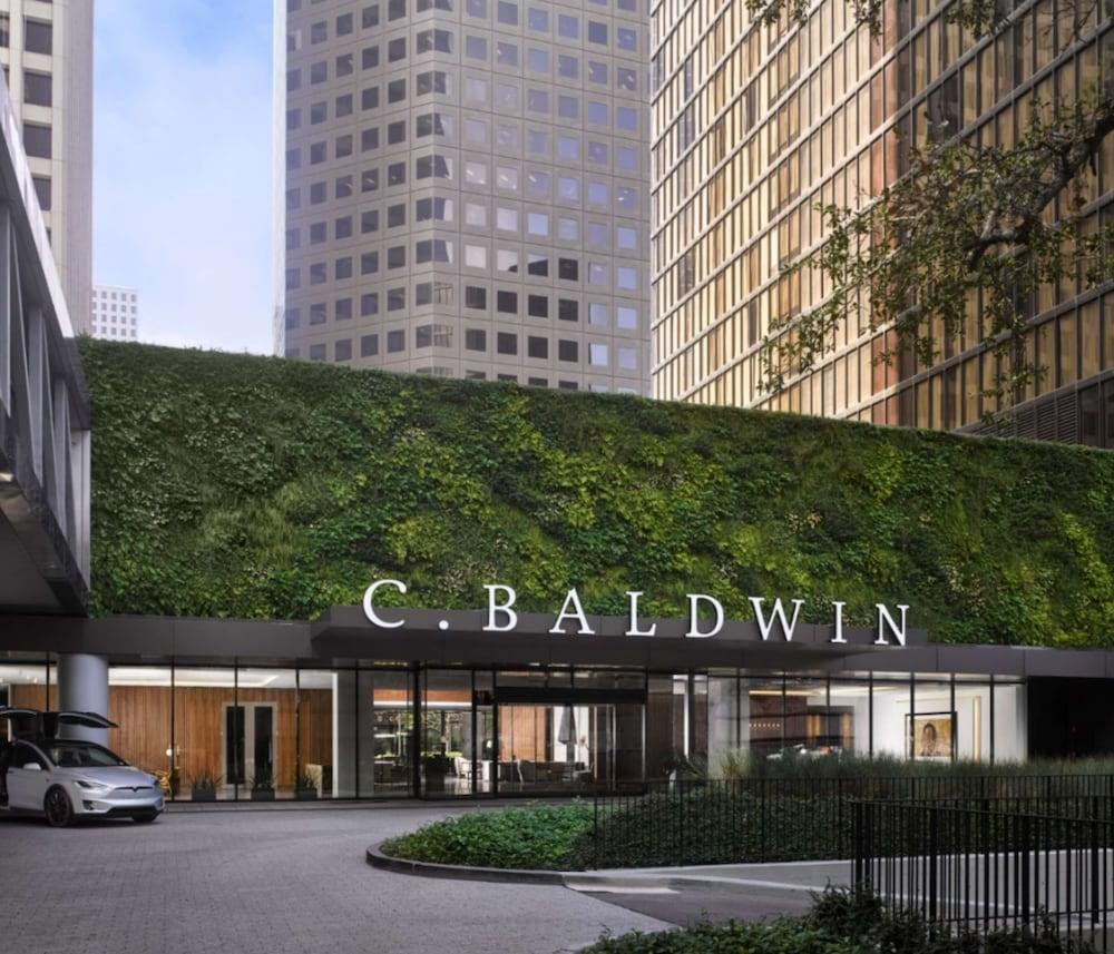 C. Baldwin, Curio Collection by Hilton photo 3