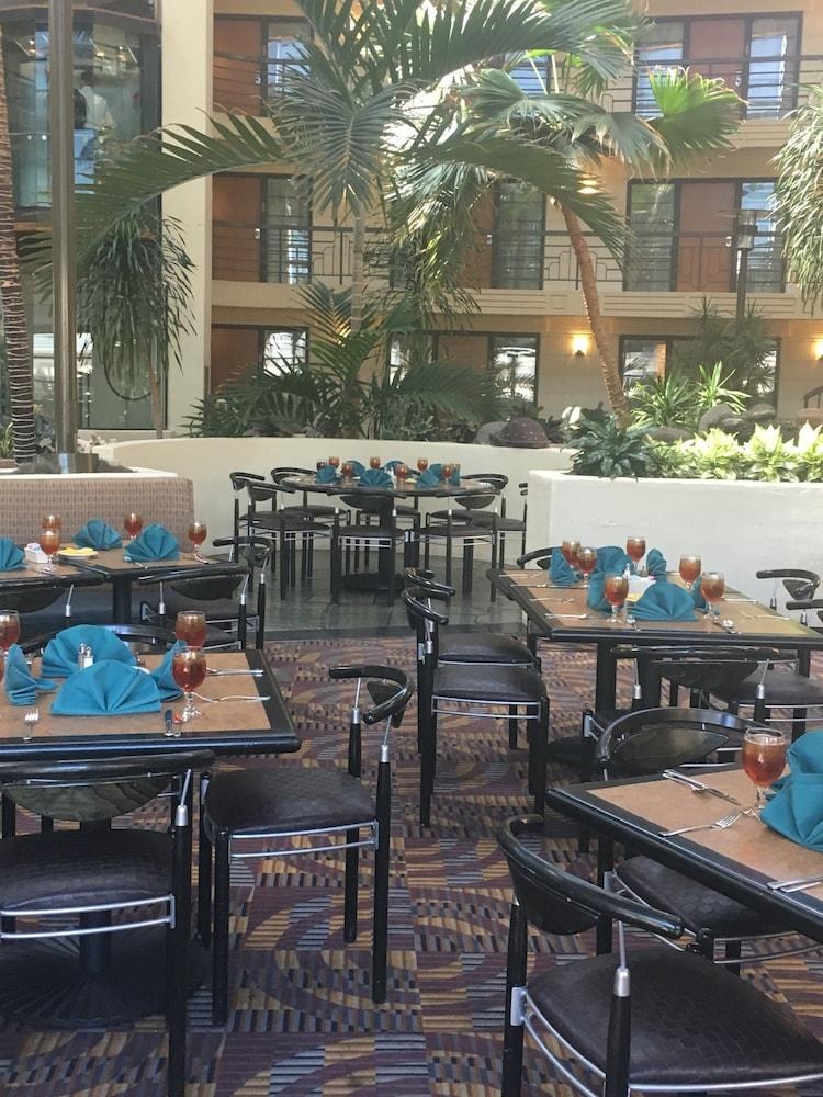 Embassy Suites by Hilton Phoenix Biltmore photo 4