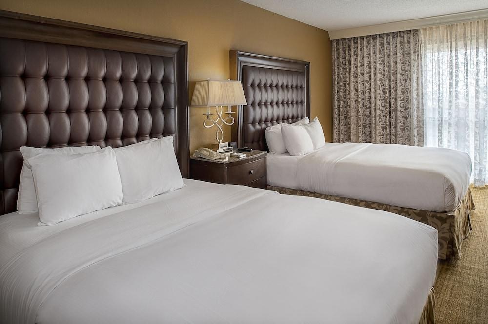 Hilton St. Louis Airport photo 4