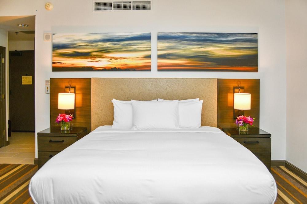 Hilton Dallas/Park Cities photo 4