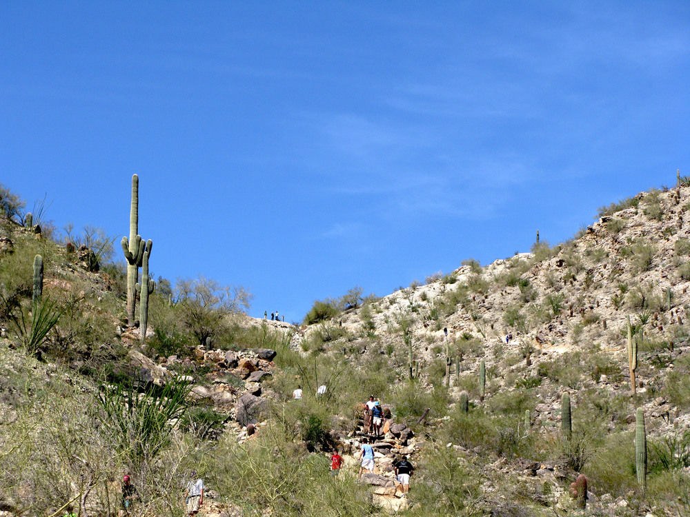 Hilton Phoenix Tapatio Cliffs Resort
