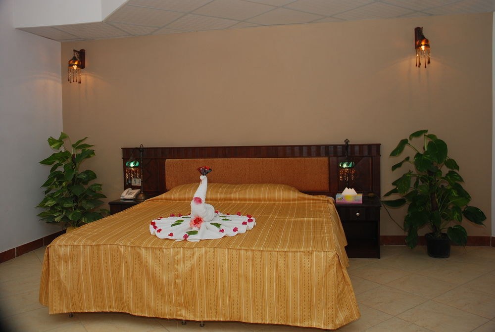 FALCON NAAMA STAR photo 1