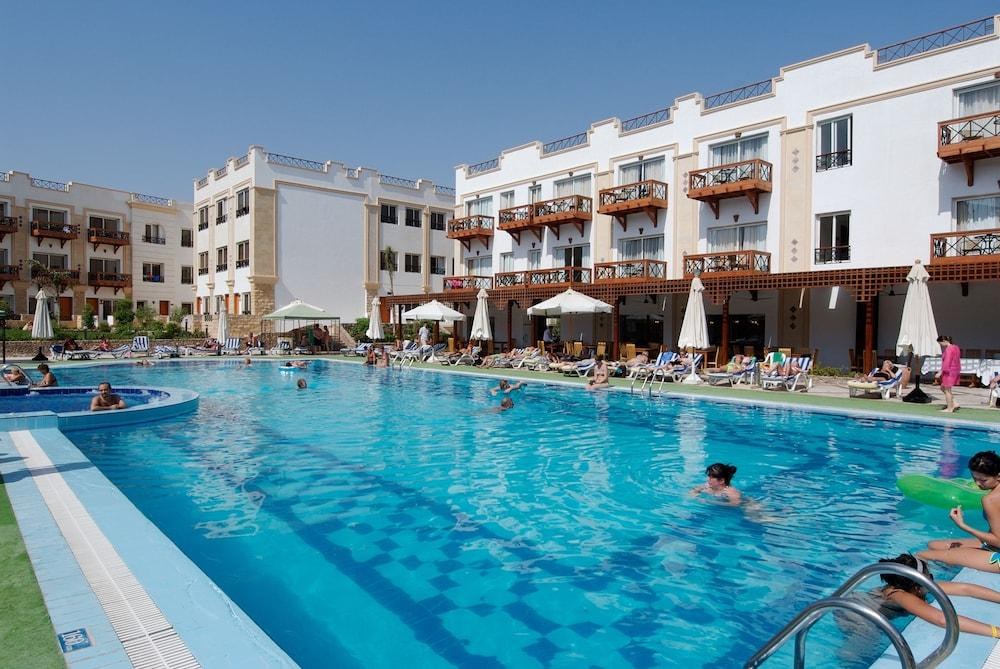 FALCON NAAMA STAR photo 2