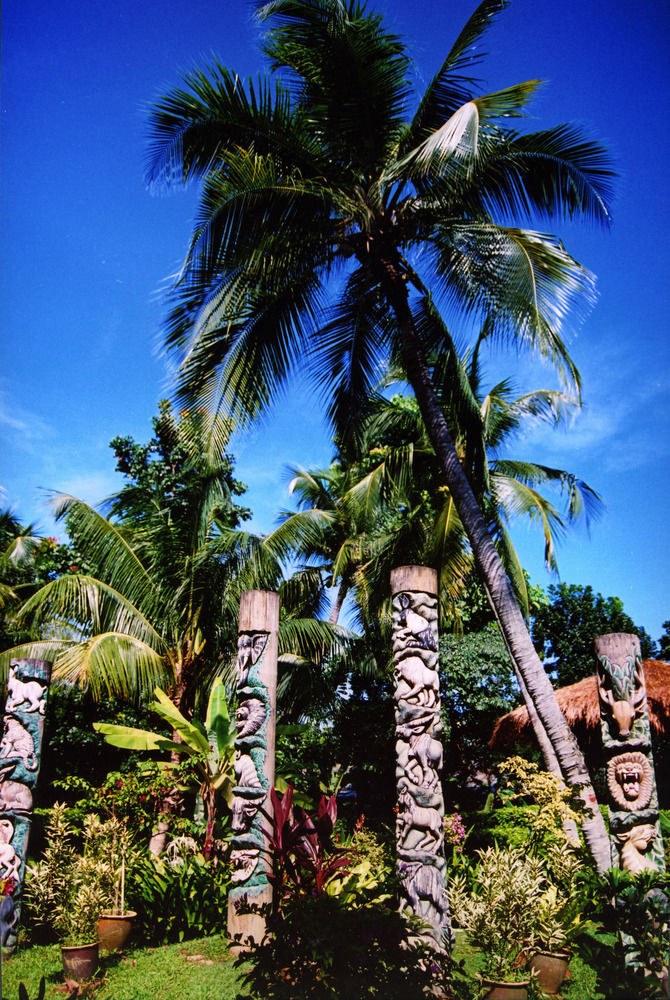 A FAMOSA RESORT photo 1