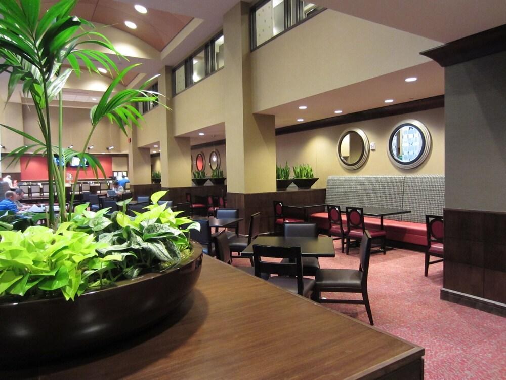 Embassy Suites by Hilton St. Louis Downtown photo 3