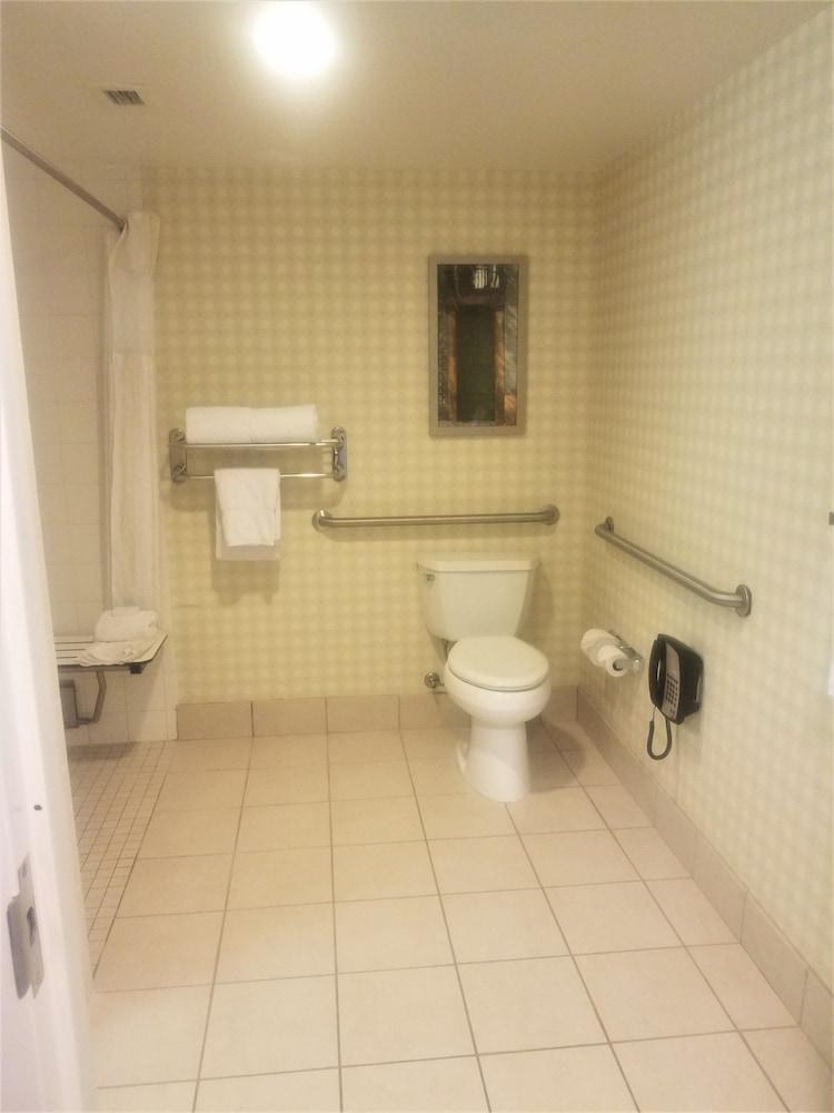 Hilton Garden Inn Houston/Sugar Land photo 4