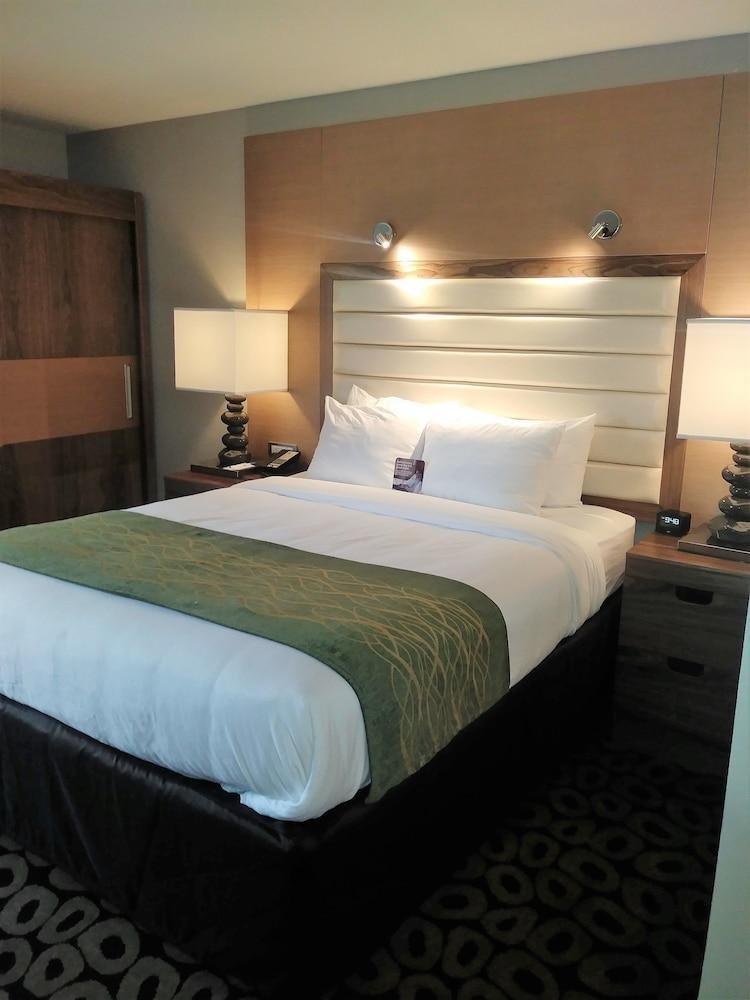 Comfort Inn Raleigh Midtown photo 2