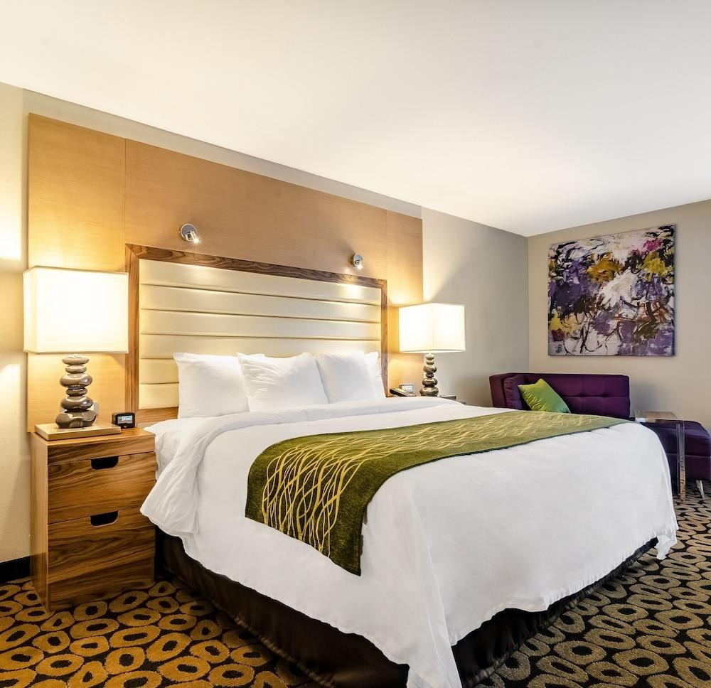 Comfort Inn Raleigh Midtown photo 3