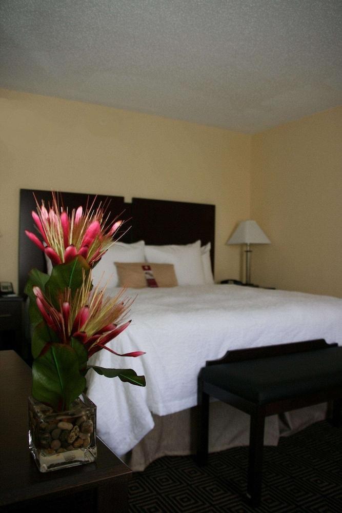 Hampton Inn & Suites Orlando-John Young Pkwy/S. Park photo 2
