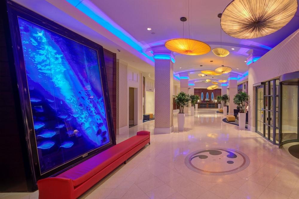 Hilton Virginia Beach Oceanfront photo 4