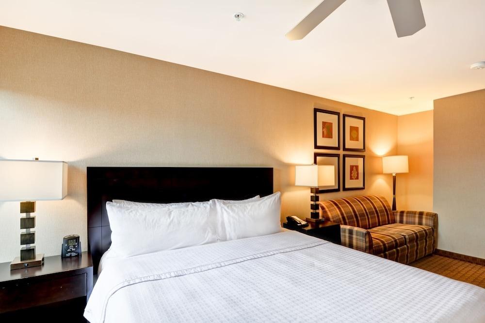 HOMEWOOD SUITES BY HILTON SILVER SPRING photo 3