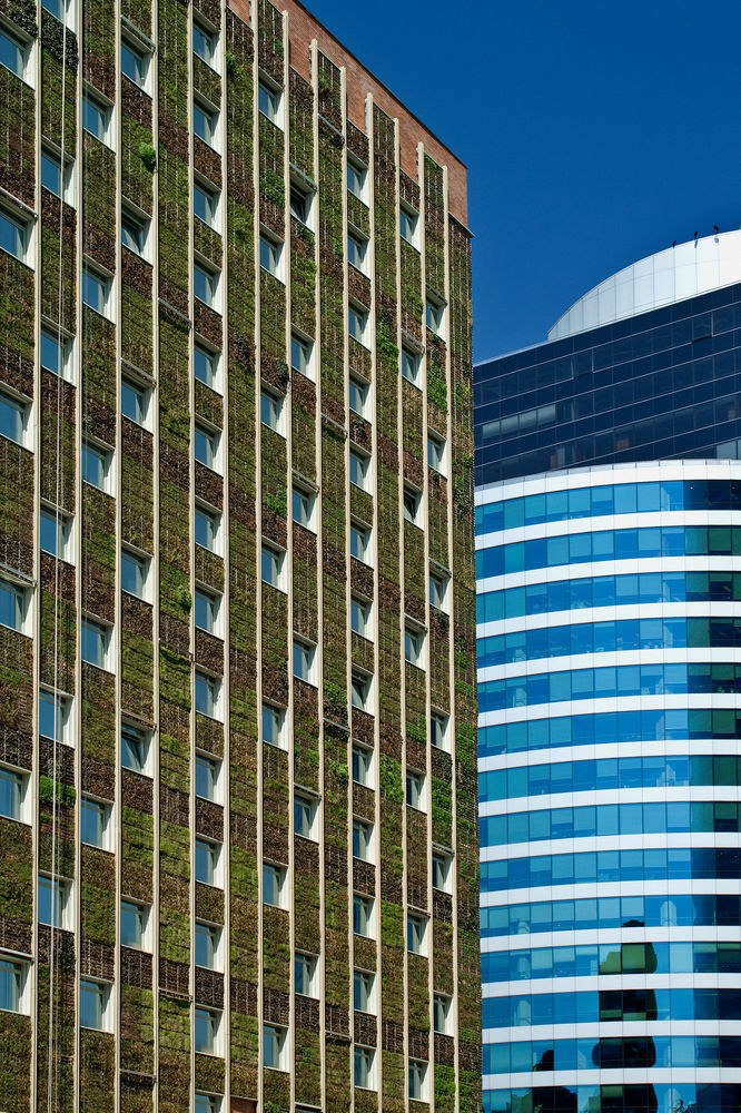 INTERCONTINENTAL SANTIAGO photo 1