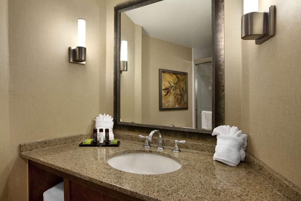 Embassy Suites by Hilton Bloomington/Minneapolis photo 4