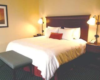 HAMPTON INN & SUITES DALLAS/COCKRELL HILL I-30 photo 4