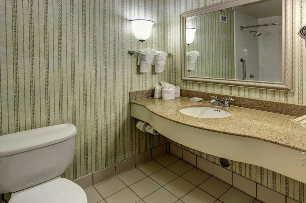 Hilton Garden Inn Williamsburg photo 4