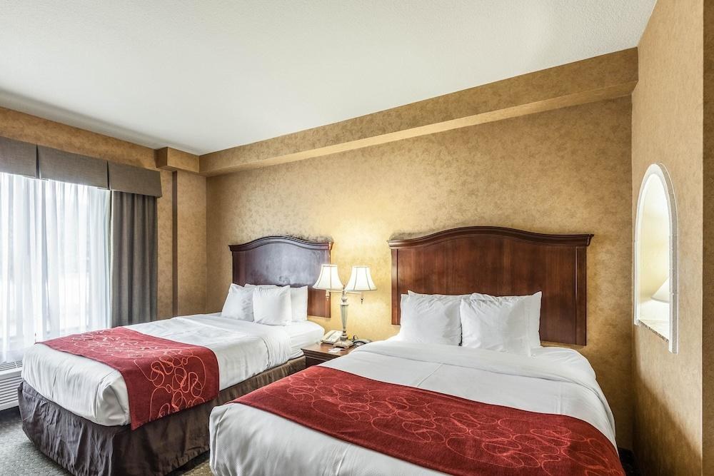 COMFORT SUITES ALAMO/RIVERWALK photo 2
