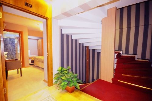 TAMARA RESIDENCE photo 3