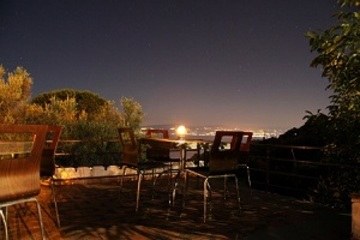 501 photo 4