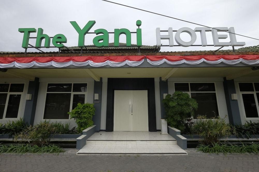 YANI photo 4