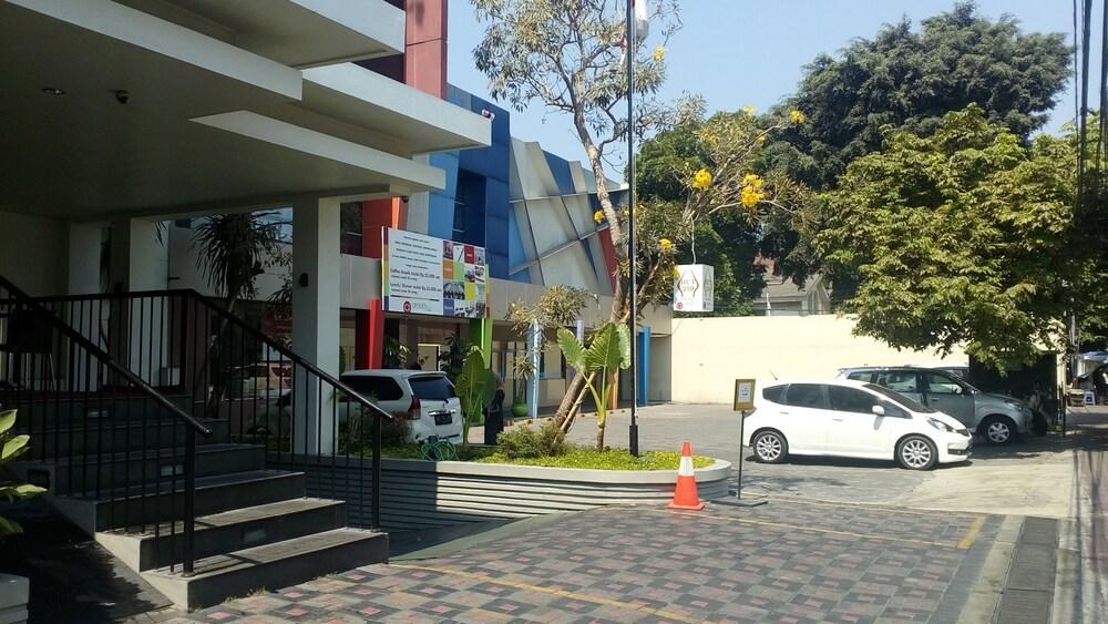 AMARIS DIPONEGORO photo 4