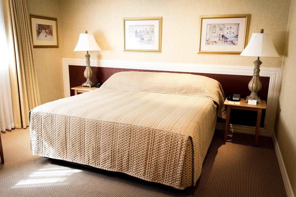 European Hotel photo 4
