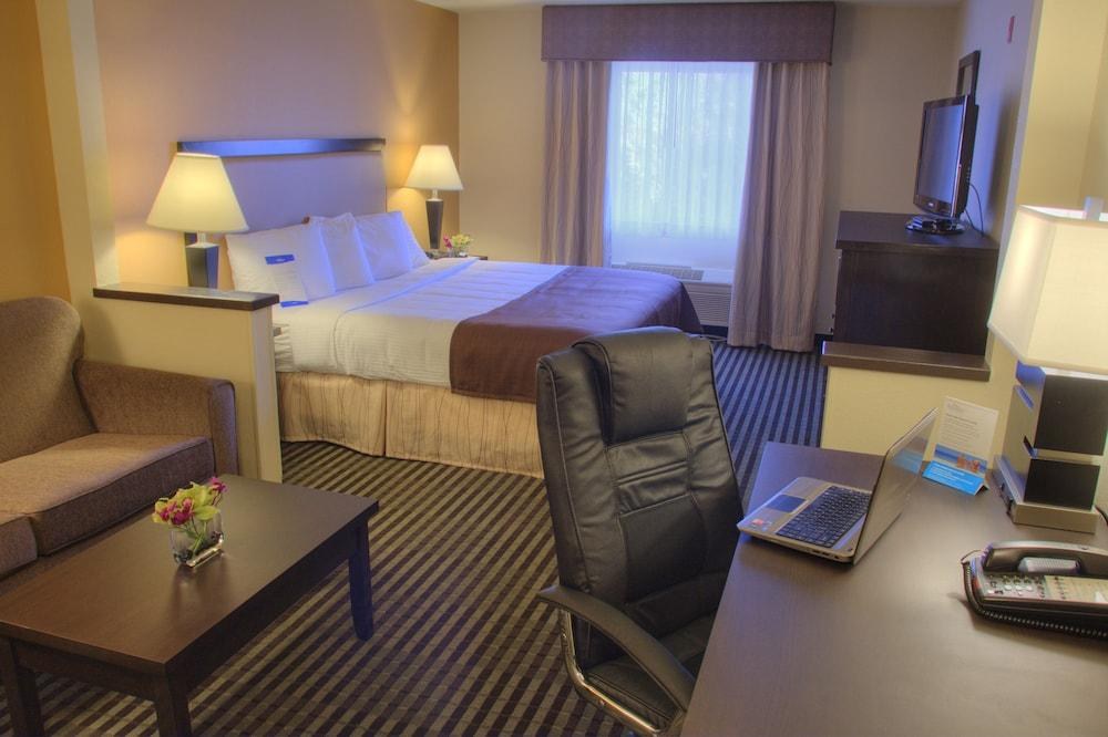 Baymont Inn and Suites Dallas Love Field photo 4