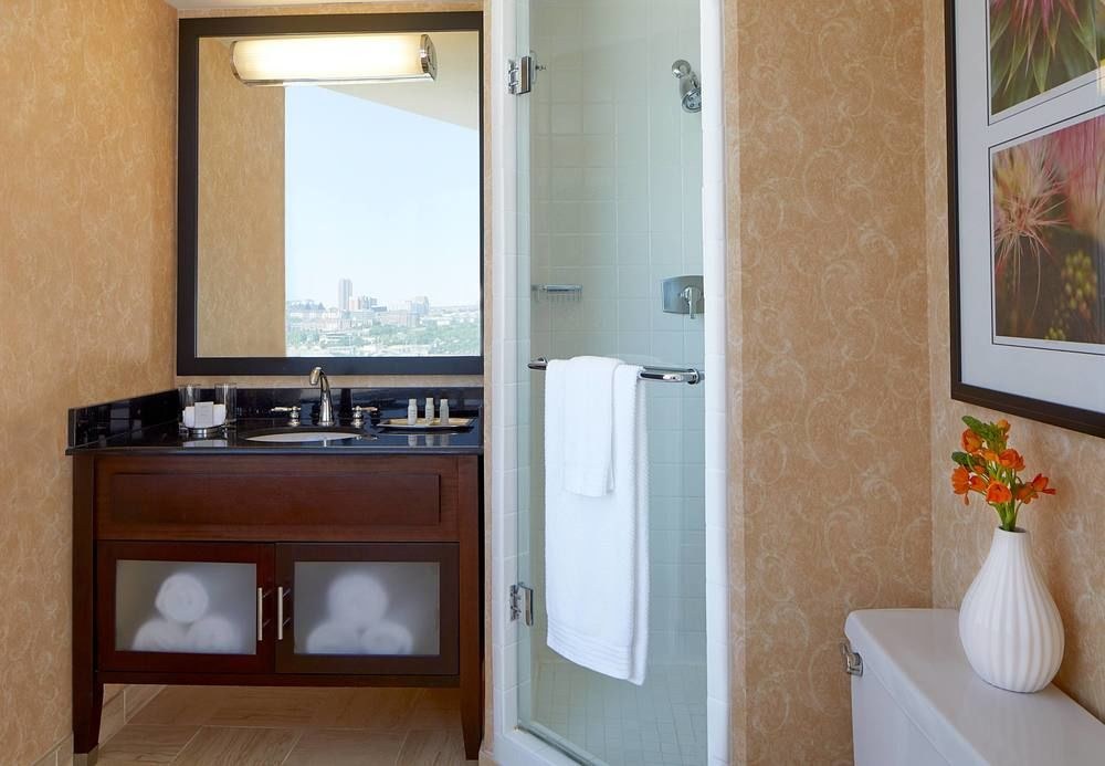 RENAISSANCE DALLAS HOTEL photo 4