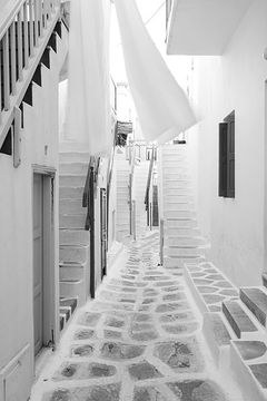 TERRA MARIA photo 2