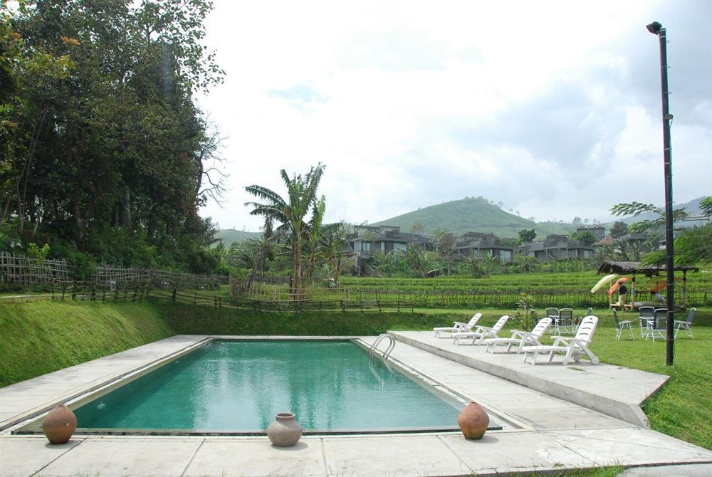 TEA GARDEN RESORT photo 1