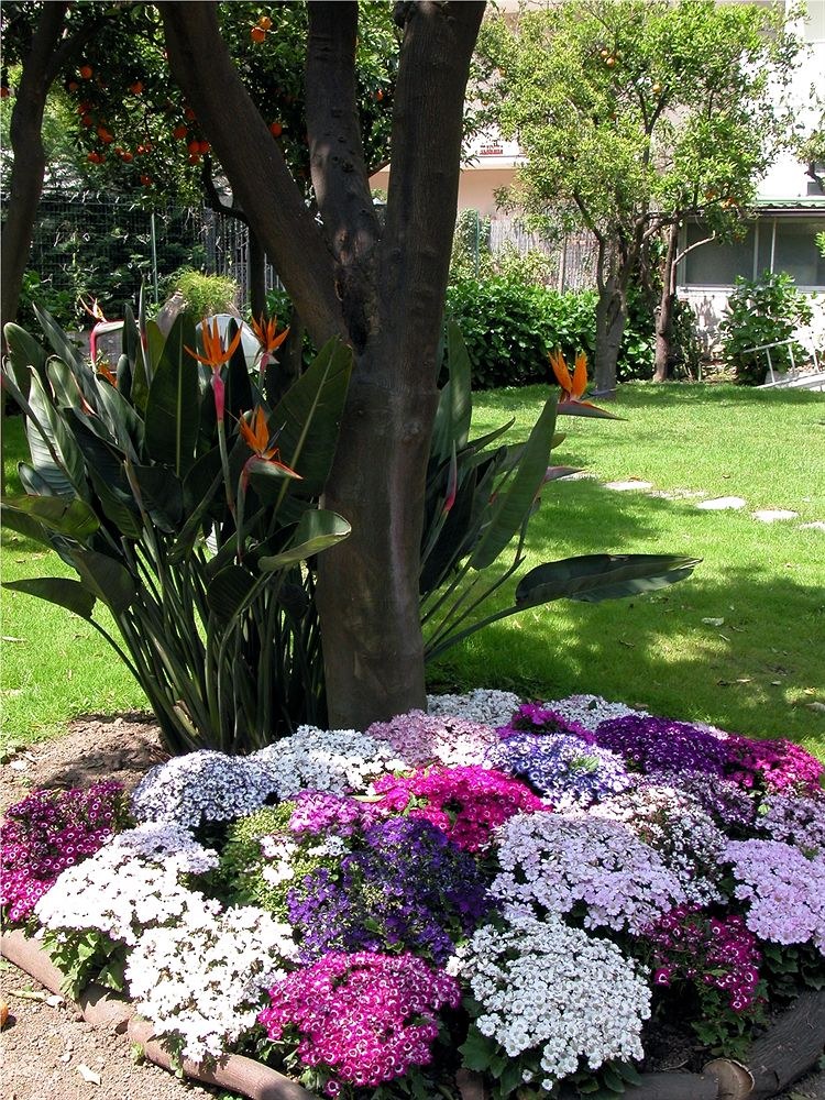 Ara Maris Hotel & Spa