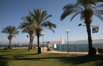 Leonardo Tiberias photo 4
