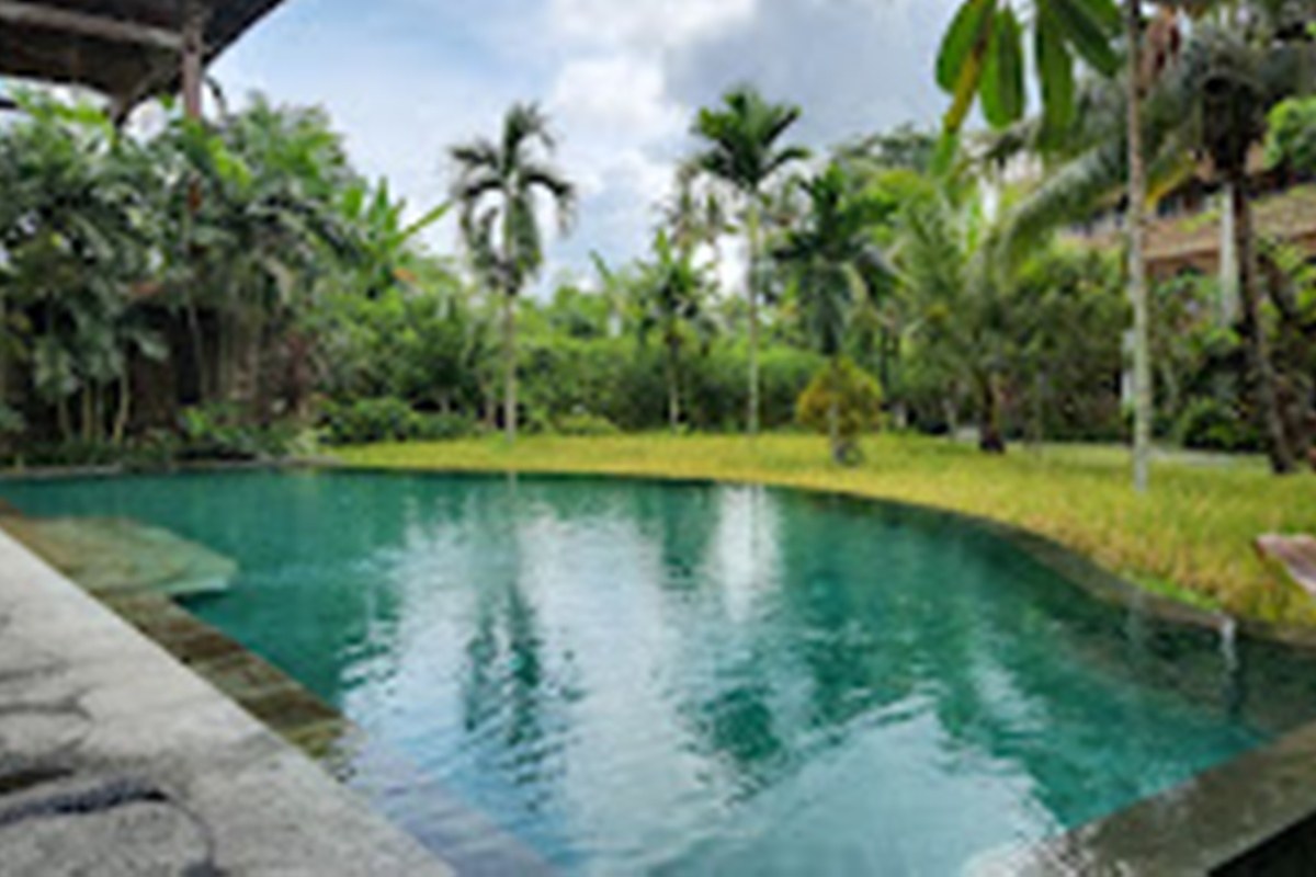 ALAYA RESORT UBUD photo 2