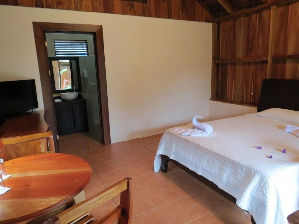 ARENAL MONTECHIARI photo 3