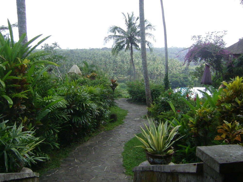 TAMAN BEBEK