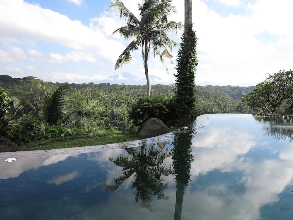 TAMAN BEBEK photo 3