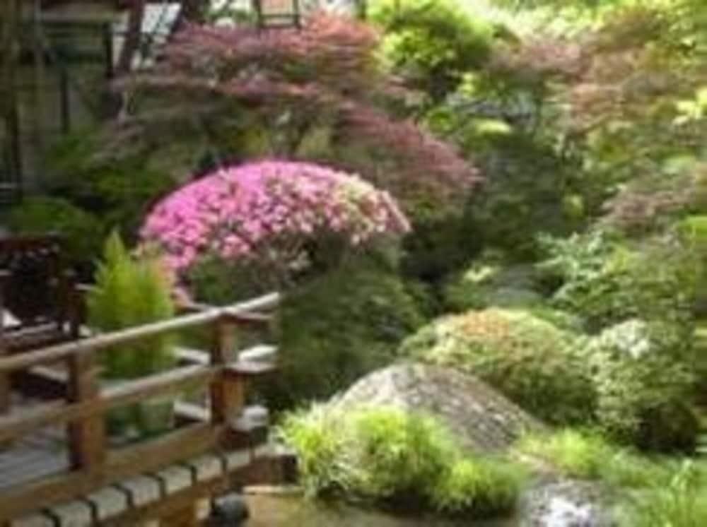 ARAI RYOKAN photo 4
