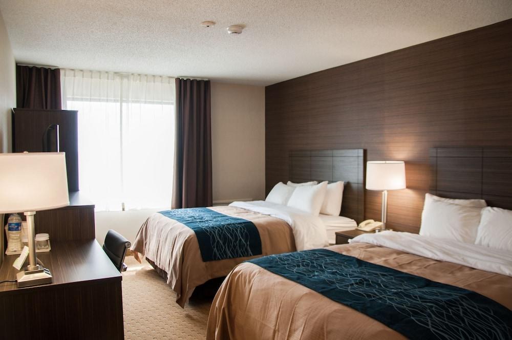 COMFORT INN LEVIS photo 2