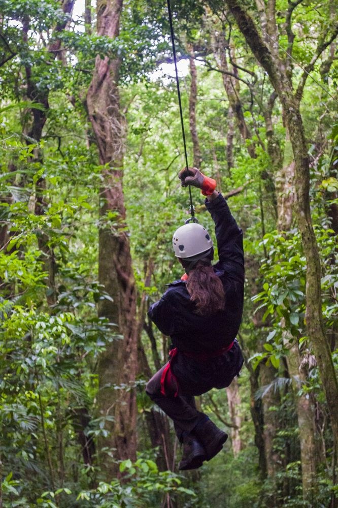 CLOUD FOREST LODGE photo 1