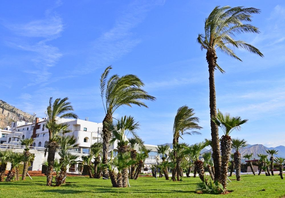 Saracen Sands Hotel & Congress Centre