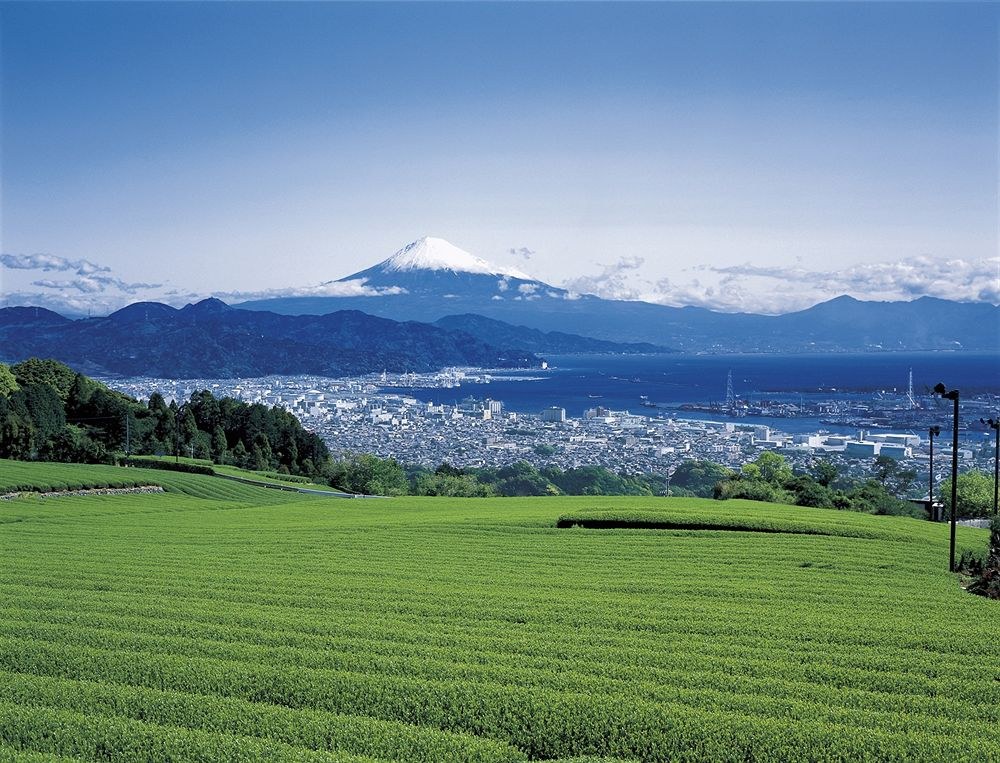 SHIZUOKA KITA WASHINGTON HOTEL PLAZA