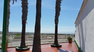 Vista Oasis Bungalows photo 2