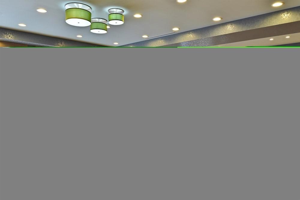 WYNDHAM GARDEN ELK GROVE VILLAGE photo 3