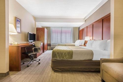 COMFORT INN & SUITES photo 1