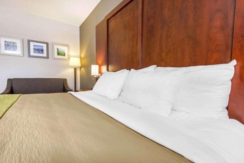 COMFORT INN & SUITES photo 4