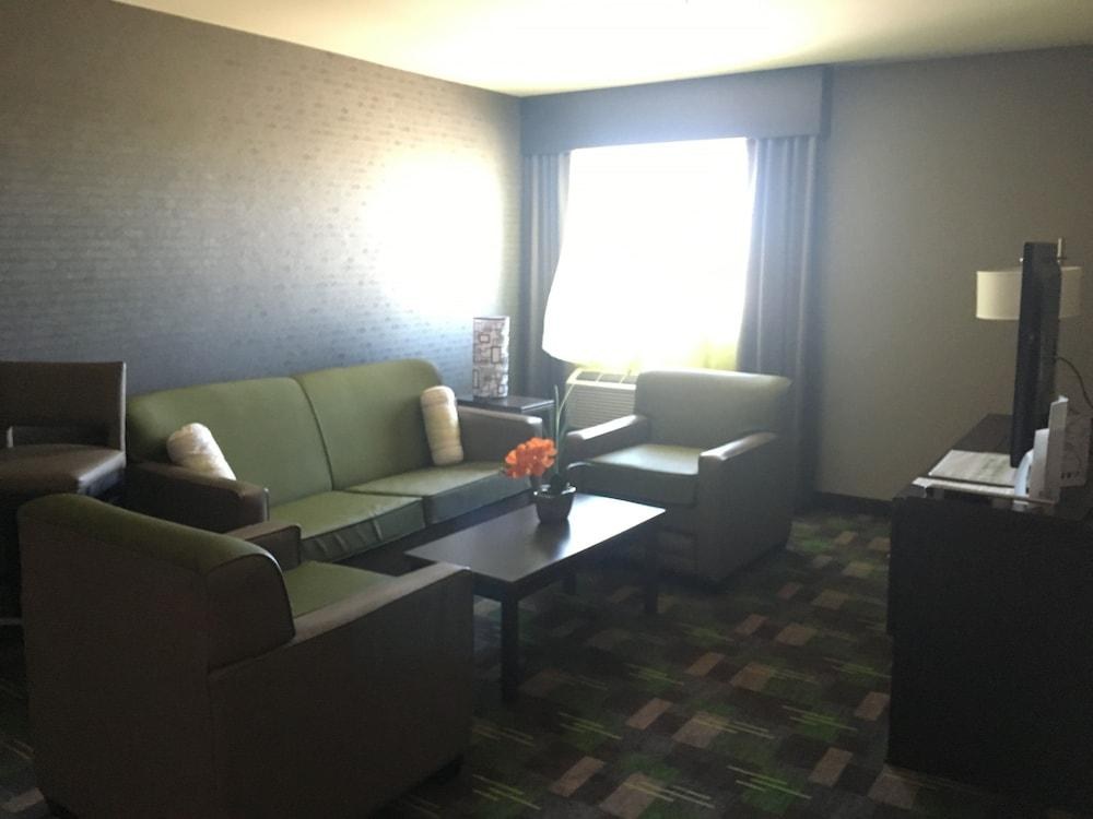HOLIDAY INN AIRPORT POLO PARK photo 3