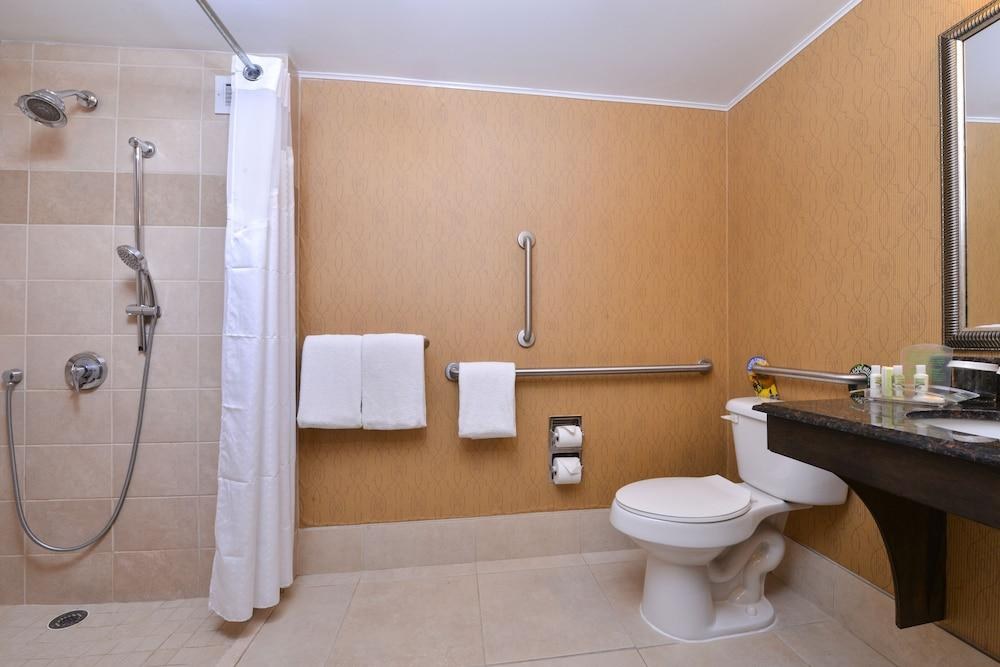 HOLIDAY INN CHARLOTTE-CENTER CITY photo 2