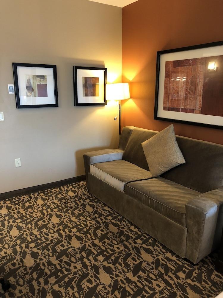 HOLIDAY INN EXPRESS & SUITES NORTH DALLAS AT PRESTON photo 4